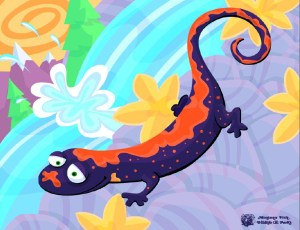 salamander