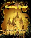 WakingPlainCover