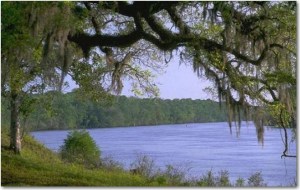 Near Ft. Gadsden - U.S. Dept of Agriculture photo on Flickr