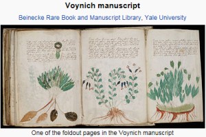 voynich