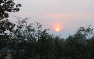 Late afternoon haze.